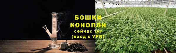 хмурый Дмитровск