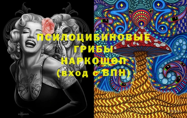 хмурый Дмитровск