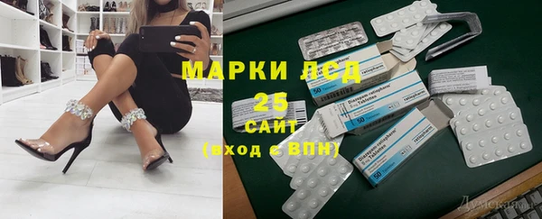 хмурый Дмитровск