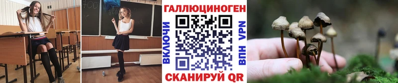 Псилоцибиновые грибы прущие грибы  Купить где  Чистополь 